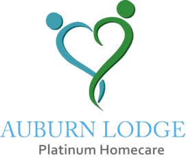 Platinum Company Logo